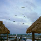  Caye Caulker, Belize